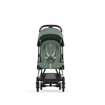 Silla de Paseo Coya Chrome Frame