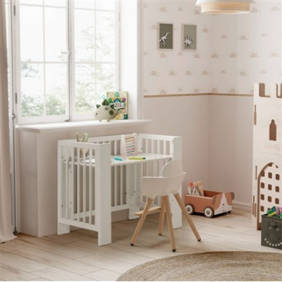 Converbaby Micuna