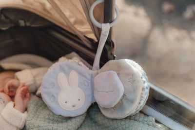 Librito Blando Actividades Anilla Miffy Azul