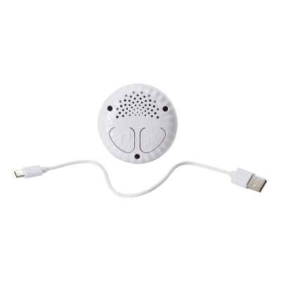 Luz Compañia Musical Conejito