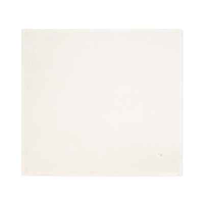 Set/ 2 Muselinas 70x70 Cm Gala Mint