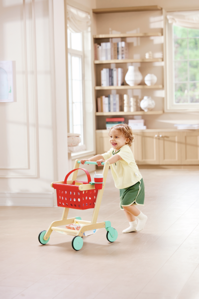 Carrito y Cesta del Pequeño Comprador