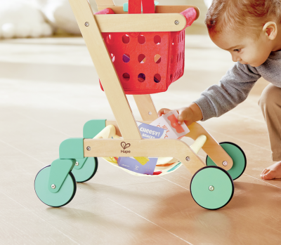 Carrito y Cesta del Pequeño Comprador
