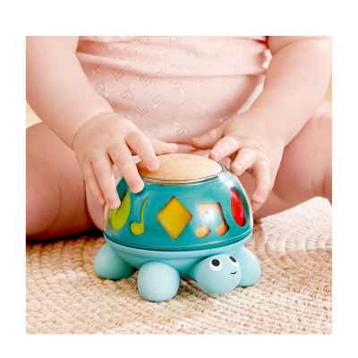 Twist & Tune Turtle