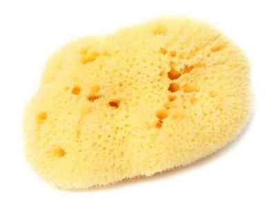 Esponja Natural Bellini Fine Dama S7+Caja Plastico