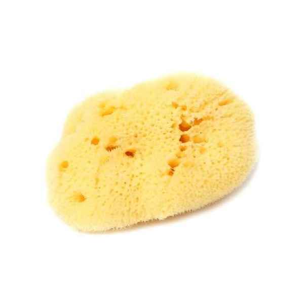 Esponja Natural Bellini Fine Dama S7+Caja Plastico