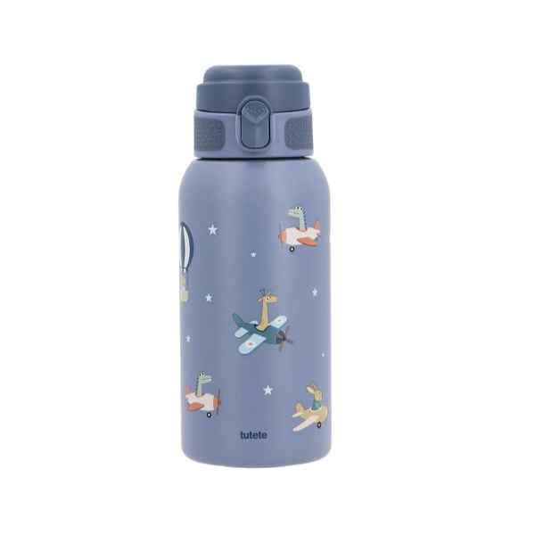 Botella de Acero Térmica Planes 500ml