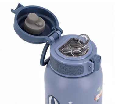 Botella de Acero Térmica Planes 500ml