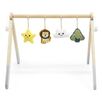 Gimnasio De Actividades Polar B