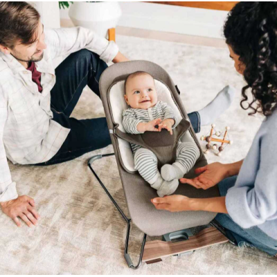 Hamaca Mira de Uppababy-Wells