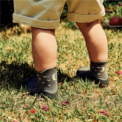 Attipas Woodland Grey Owl